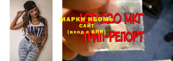 шишки Абинск